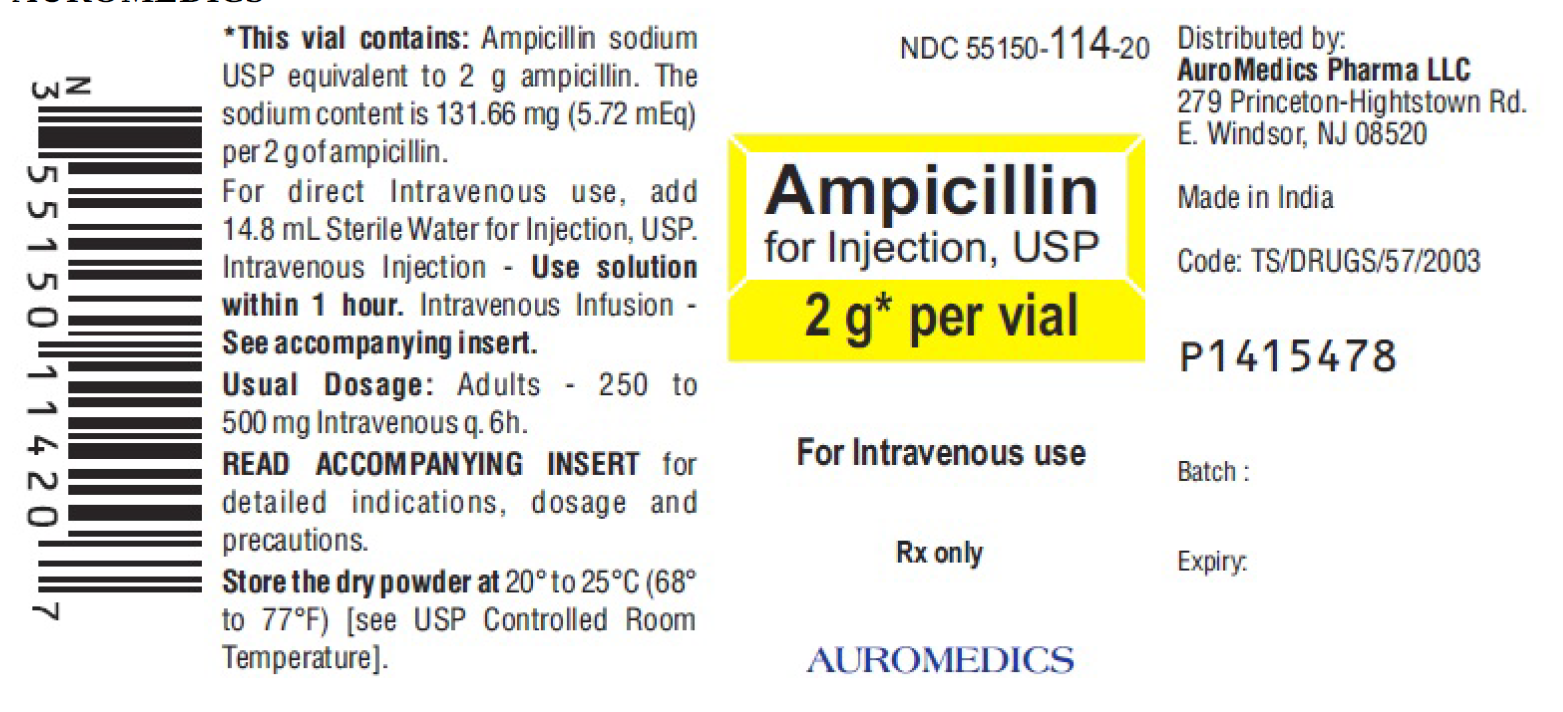 Ampicillin 2g 10 vials